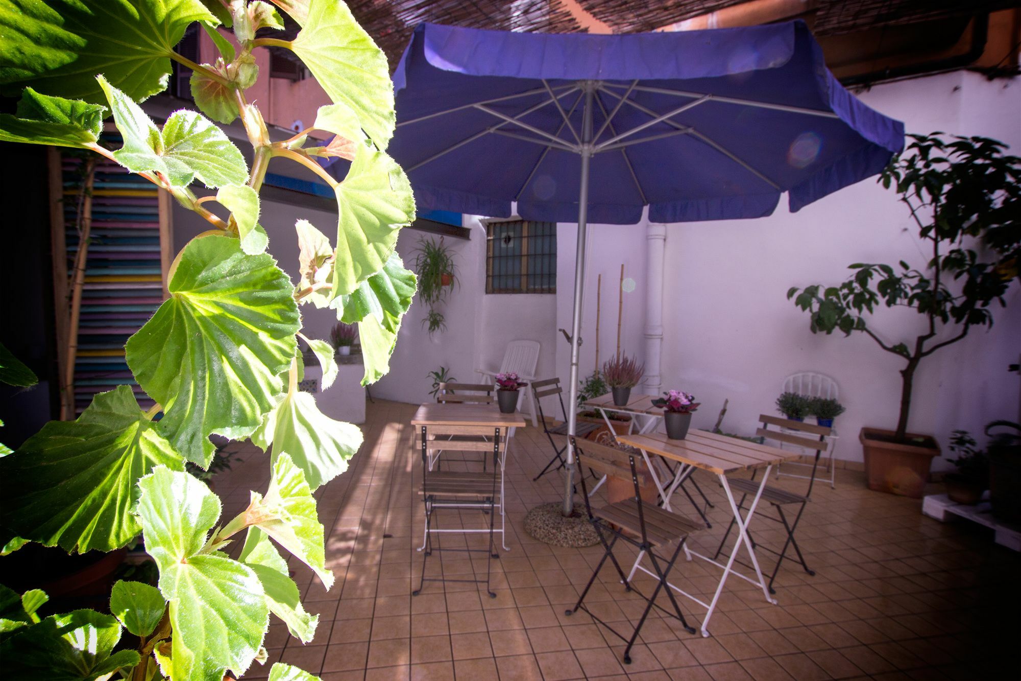 Casa Maplink Hotel Rome Bagian luar foto